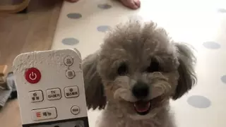 니가 뭘 할수 있는데~~???