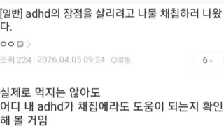 adhd의 장점을 살리기 위해 노력하는 디씨인.JPG