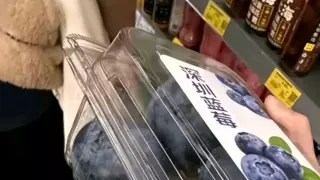떼국에서 재배 중인 대왕 블루베리