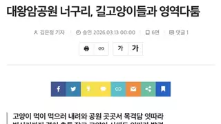 캣맘들의 뜻밖의 결과