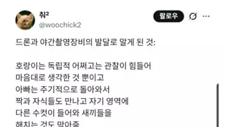호랑이에 대해 밝혀진 새로운 사실