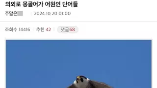 의외로 몽골어가 어원인 단어들