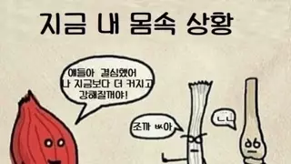40대 헬창 아재들 몸 속 상황