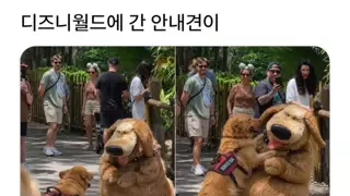 디즈니월드에 간 챱츄