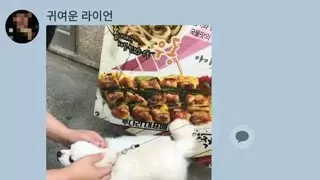 니 손이냐? ㅈㄴ 뚱뚱하네