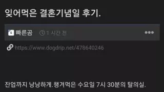 결혼기념일 까먹은 남자 생존기