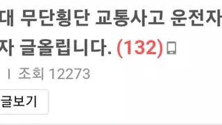 약혐) 홍대 무단횡단 사고 차주 남편 글