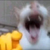 스티커 이미지