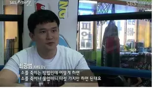 소한테 이기는 방법
