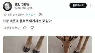 신발 때문에 동료로 여겨지는 것 같아.jpg