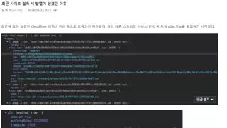 결국 다같이 죽기로 선택한 뉴토끼