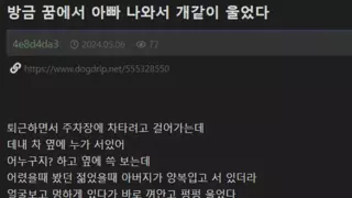 방금 꿈에서 아빠 나와서 개같이 울었다.jpg