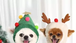 다스뵈이다 편집 좀 한듯..