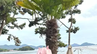 리센느에게 먹칠하면 안 된다고 말하는 거제시 근황