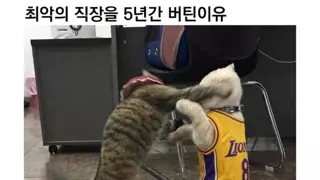 최악의 직장을 5년간 버틴이유