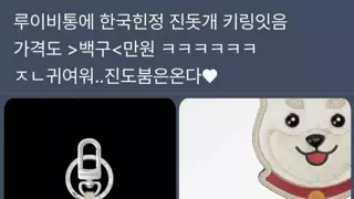 루이비통 한국 한정 키링.????