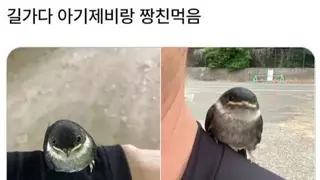 썸네일 이미지