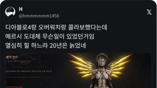 디아4 메르시 스킨 근황