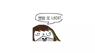 길고양이 논쟁에 끌려나온 김어준씨
