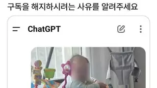 챗지피티 구독해지 사유