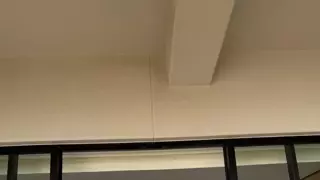ㅇㅎㅂ? 전소미 근황