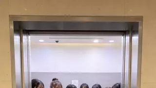 이 엘베 탄다? 안탄다?