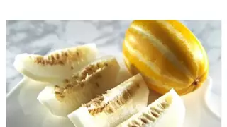 참외 근황