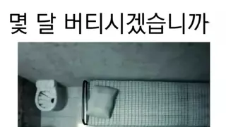 몇달버티시겠습니까