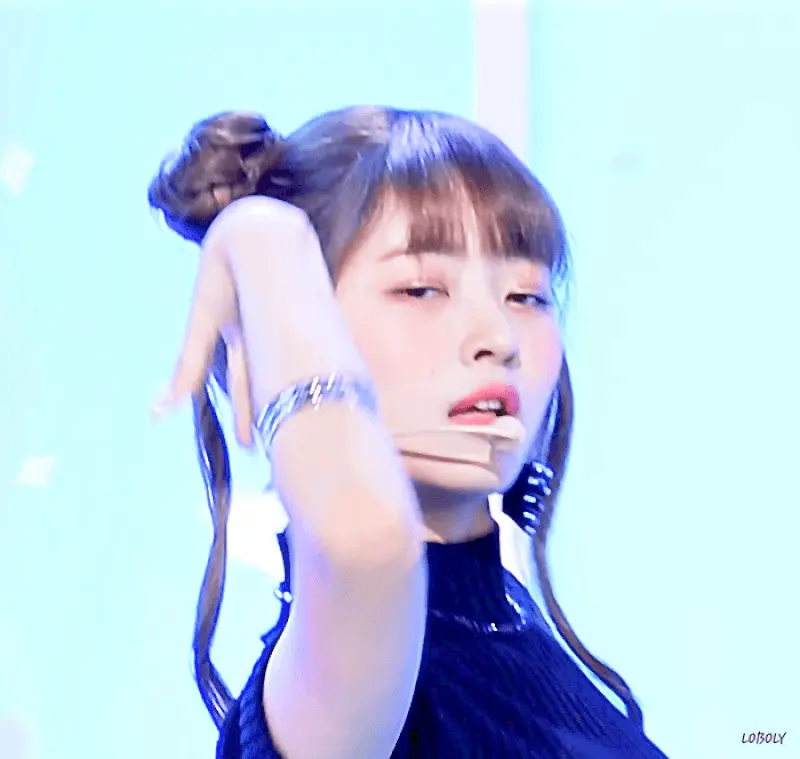 배너