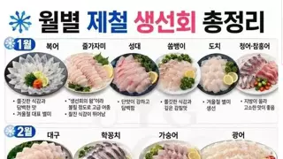 생선회 제철 총 정리