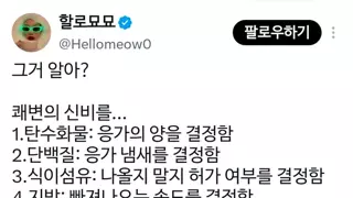 똥