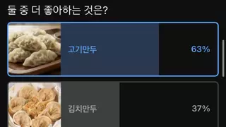 고기만두 vs 김치만두
