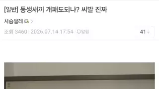동생한테 조롱당하는 하이닉스 주주