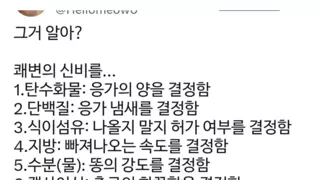 쾌변의 신비