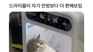 드라이룸이 자기안방보다 편해보임
