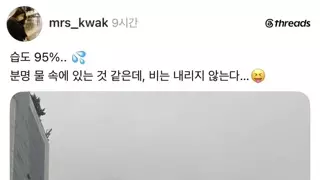 습도 95%찍은 부산 근황
