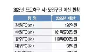 2025년 K리그 운영을 위해 세금 1200억 지원