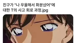 나 우울해서 화분샀어'에 대한 T의 대답.