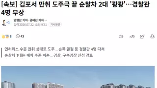 김포서 만취 도주극 끝 순찰차 2대 '쾅쾅'…경찰관 4명 부상