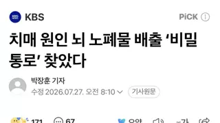 치매 원인 뇌 노폐물 배출 ‘비밀 통로’ 찾았다