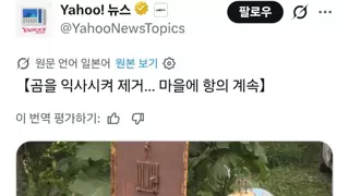 곰 익사 시켰다고 화가난 니뽄 곰맘들