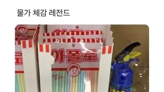 오이갤러들 물가체험 레전드