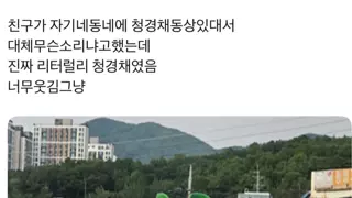 너네 청경채 동상 본적있어??