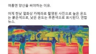 양산을 써야 하는 이유