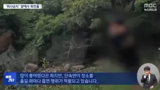 계곡에서 담배피는 이유