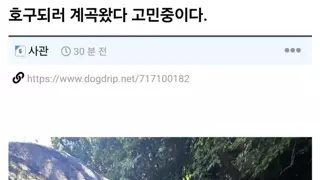 썸네일 이미지
