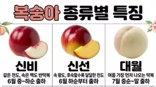 복숭아 종류별 특징
