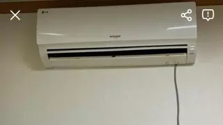 싱글벙글 당근 근황