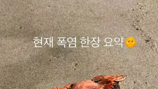 현재 폭염 한장으로 요약
