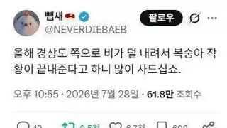 올 여름 경상도 복숭아를 먹어야하는 이유